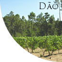 Dão