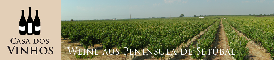 Weine aus Península de Setúbal: Die Península de Setúbal ist eine für den Weinbau Portugals sehr interessante Region. Hier entsteht auf meist sandigen Böden unglaublich intensiver und runder Wein.
