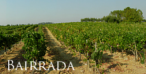 Bairrada