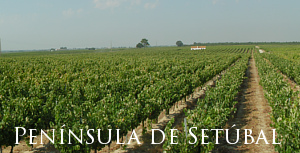 Península de Setúbal